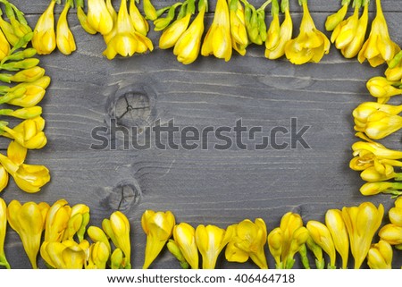Yellow and white freesias frame on gray wooden background
