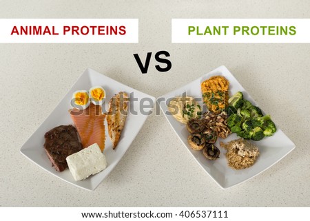 animal versus plant proteins: one plate with beef, eggs, salmon, cheese and chicken grill and another with nuts, mushrooms, broccoli, lentil, hummus and quinoa Royalty-Free Stock Photo #406537111