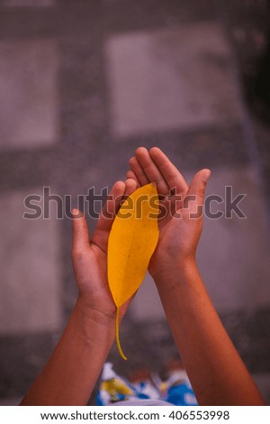 Yellow leaf in hands