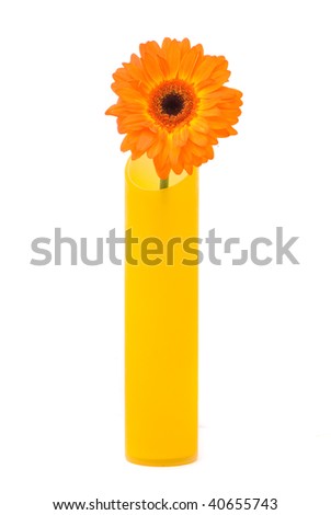 Orange gerber flower in yellow vase on white background
