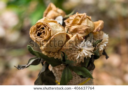 Bouquet of Rose Wilt