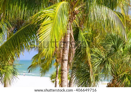 View of the white sand beach and the Gulf of Mexico through palm leaves on a sunny day in Fort Myers Beach. People walking on the beach.