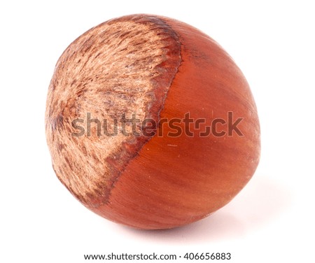 one brown hazelnuts isolated on white background close-up macro