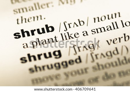 Close up of old English dictionary page with word shrub