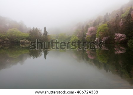 Fog and lakes