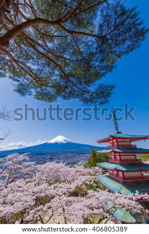 Mt.Fuji and cherry tree