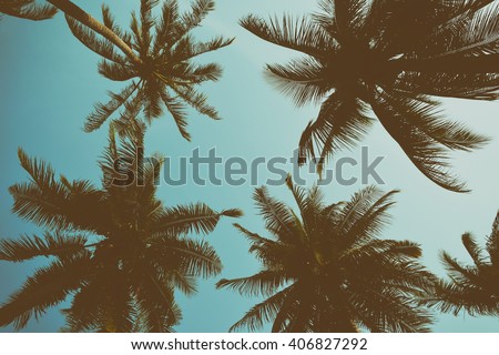 Silhouette palm tree with vintage filter (background) Royalty-Free Stock Photo #406827292