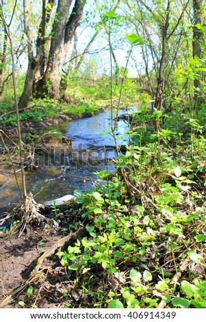 Small river on spring