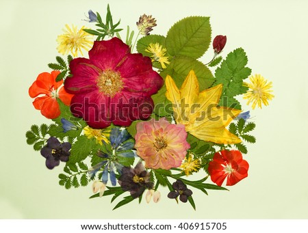 Bouquet of flowers on a light background. Pressed, dried rosehip , pumpkin, geranium, violet, dandelion, clover and lupine. 