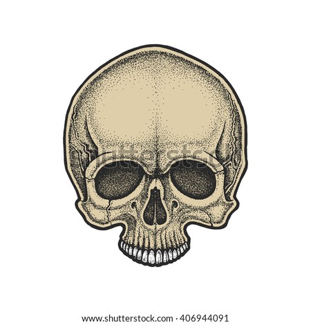 Dotwork styled skull. Hand drawn illustration