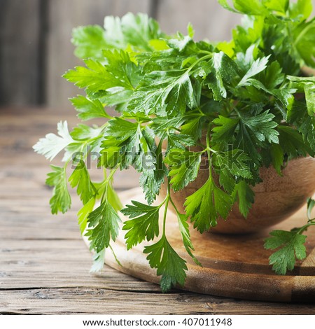 Fresh green parsley on the wooden table, selective focus and square image Royalty-Free Stock Photo #407011948