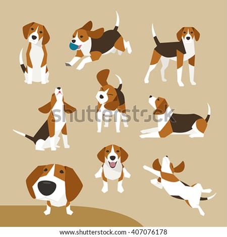 The various operations of cute beagle