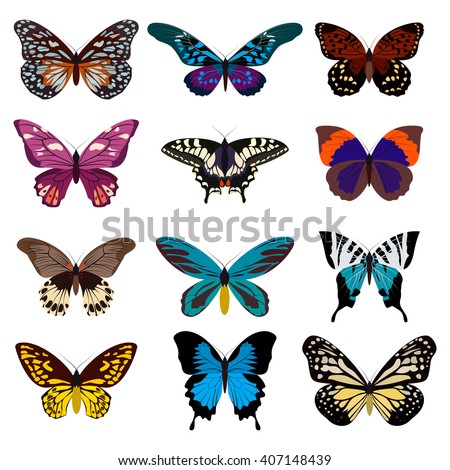 Big collection butterfly of colorful icon set. Art butterflies isolated on white. Vector illustration
