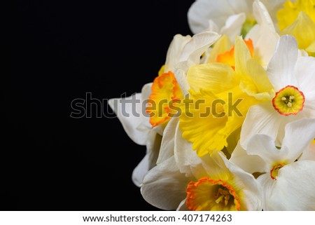 Close up photo of bouquet of white and yellow daffodils placed on corner, black background. Lights and shadows. Selective focus. Copy space