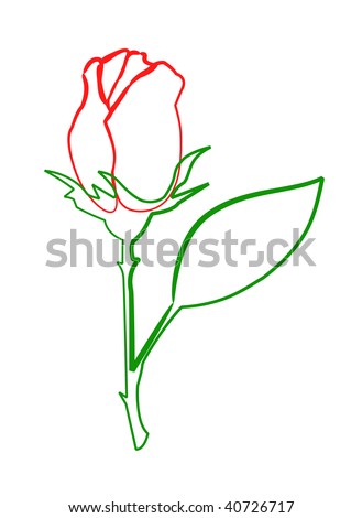 Rose, vector version