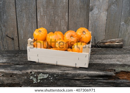 Fresh eco yellow tomatoes in wooden box in the garden