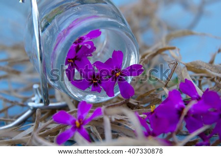 Beautiful purple flowers. Still Life . Bouquet of wild flowers in a glass vase.