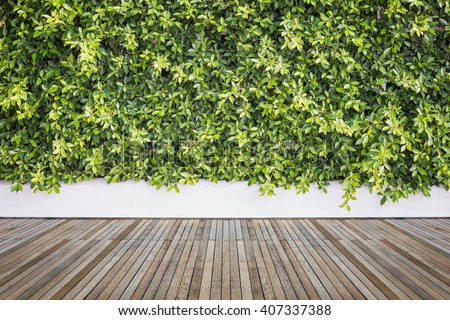 Old hardwood decking or flooring and plant in garden decorative Royalty-Free Stock Photo #407337388
