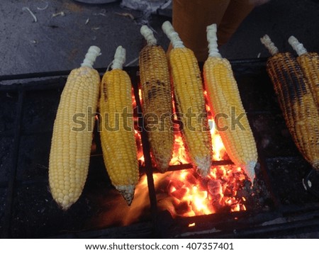 Fresh ripe golden yellow corn on the cob sizzling on the fire of a small outdoor portable barbecue