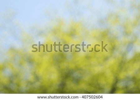 yellow and green light bokeh blurred from tree backgrounds, green and yellow blur background texture
