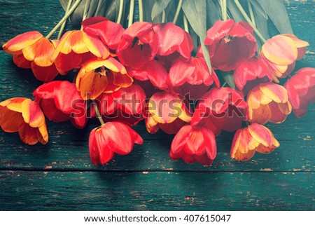 Fresh spring red tulips flowers on wooden planks. Selective focus. Place for text. Toned image. 