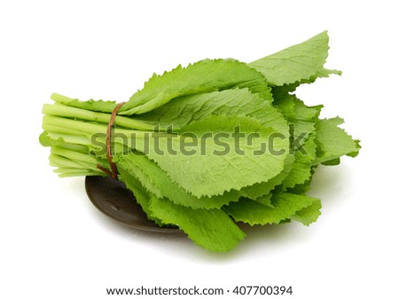 fresh green leafy kale vegetable isolated on white background