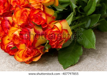 Orange roses on wooden background