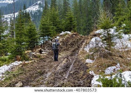 photographer on a dirt road in a pine forest in the mountains