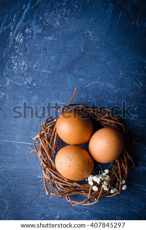 Easter eggs in nest with spring flowers on dark background. Selective focus. Toned image