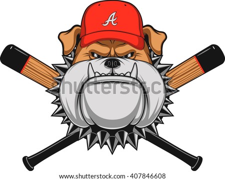 Vector illustration, a fierce bulldog wearing baseball cap, against a white background