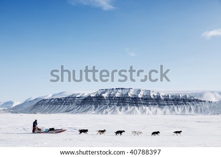 A dog sled running on a barren winter landscape