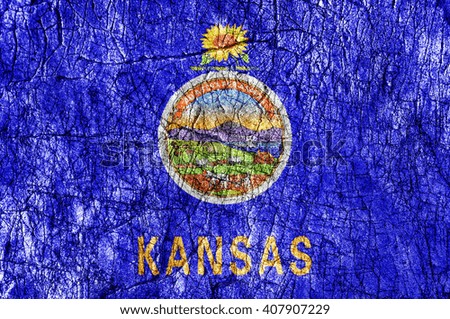 Grudge stone painted US Kansas flag