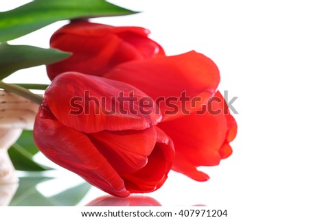 Beautiful bouquet of red  tulips 