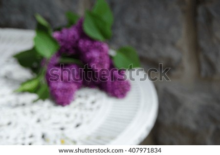  lilac tree branch with blurred background