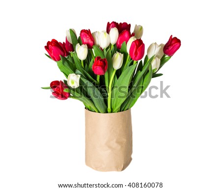 Amazing vase of tulip flowers bouquet background. Beautiful view of red and white flower tulips in vase, isolated for 8 march or international women day. Natural flower bouquet and celebration concept