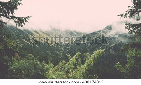 Tatra mountain forest  in Slovakia covered with clouds. autumn colors. - vintage film retro effect