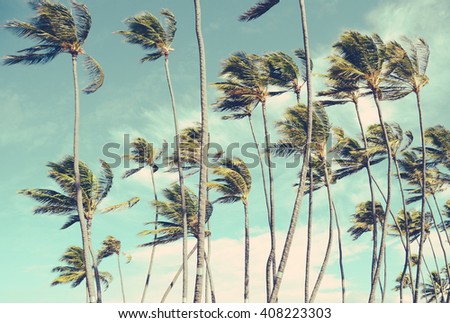 Retro Vintage Style Washed-Out Photo Of Wind-Blown Palm Trees In Hawaii
