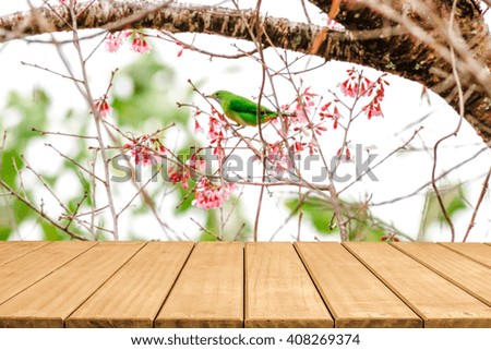 Empty top wooden table and blurred sakura flower background.