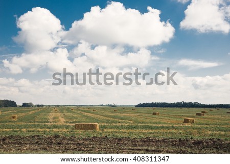 The fields. Krasnodar region, Russia