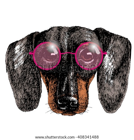 Hippie Dachshund puppy. Dog portrait in pink round glasses. Realistic vector illustration for your blog, logo and other design.