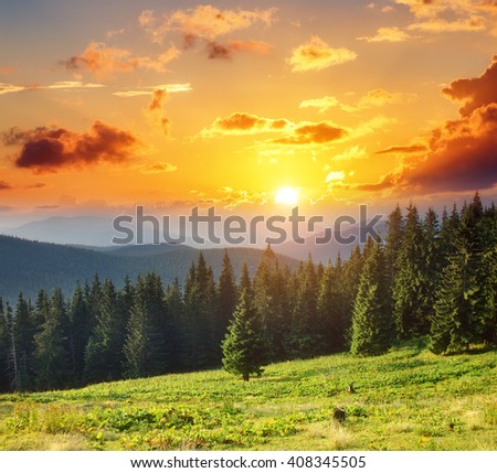 A great view of the hills glowing by sunlight at twilight. Dramatic and picturesque morning scene. Location place: Carpathian, Ukraine, Europe. Artistic picture. Beauty world. Warm toning effect.