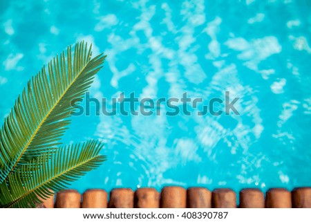 Palm tree against blue water background. Summer vacation concept