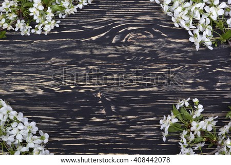 Flowering branch of cherry on the  wooden board.