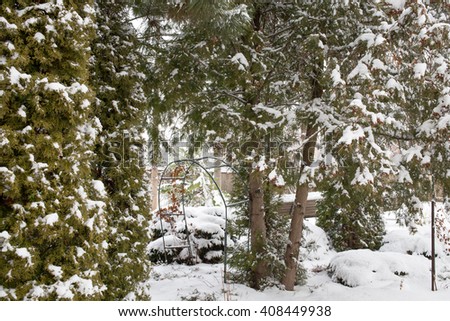 Snow covered backyard with trees.