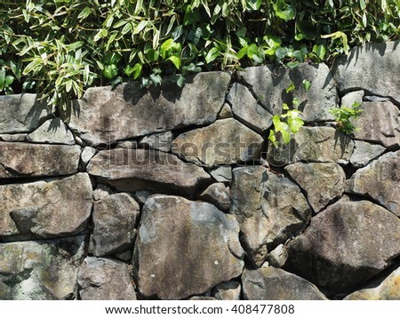 Rock wall,stone wall.