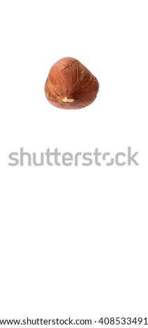 Peeled hazelnut nut over white background