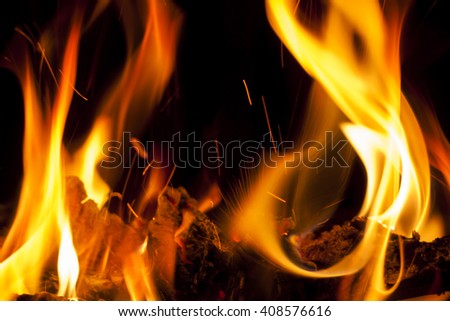 small fire with bright red flames of burning wood