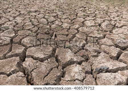 Dry cracked earth background, cracked earth texture