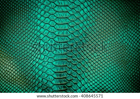 Close up of green Luxury snake skin texture use for background Royalty-Free Stock Photo #408645571