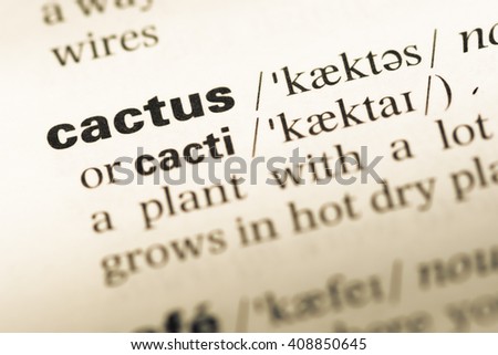 Close up of old English dictionary page with word cactus